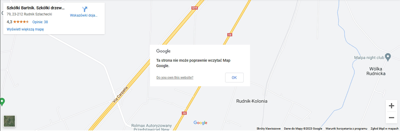klon palmowy Kraśnik